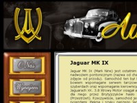 Przebudowa strony internetowej